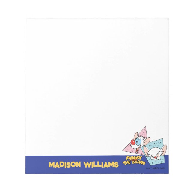 Pinky and the Brain | Retro Character Graphics Notepad (Front)