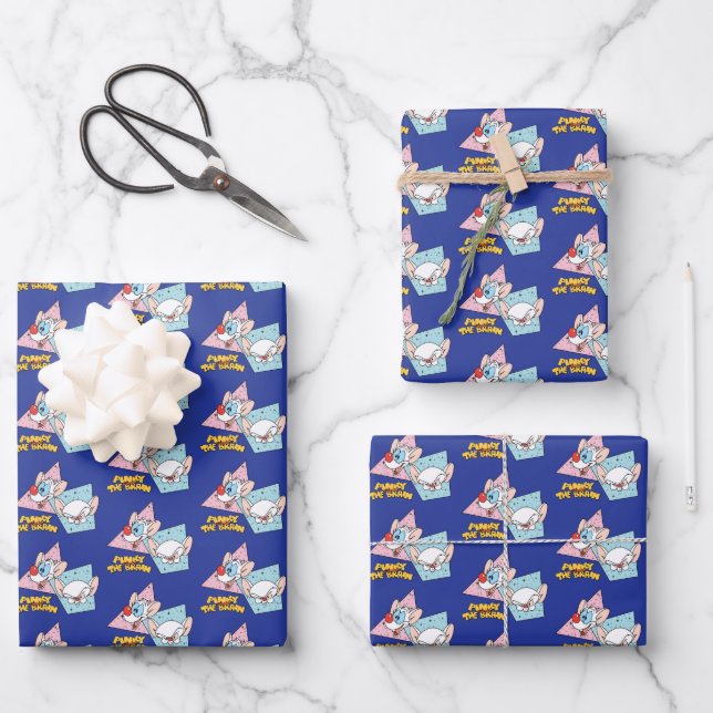 Pinky and the Brain | Retro Character Graphics Wrapping Paper Sheet (Front)