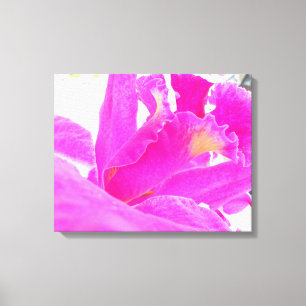 Pinky Canvas Print