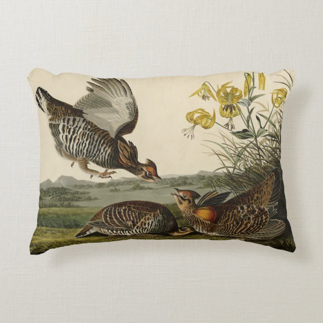 Pinnated Grouse (Grous) Audubon's Birds of America Accent Pillow (Front)