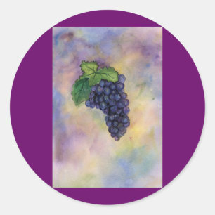 Pinot Noir Wine Grapes Sticker