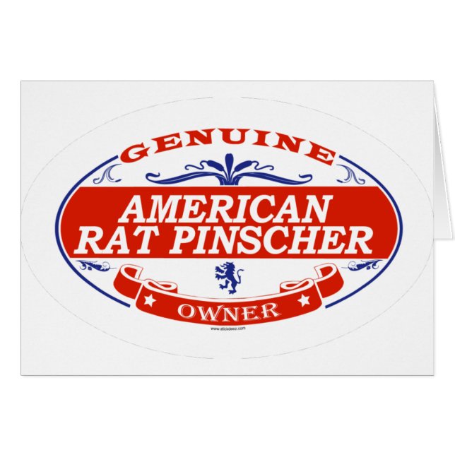 Pinscher américain de rat (Devant horizontal)