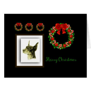 Pinscher de dobermann