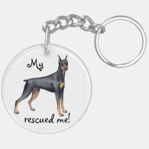 Pinscher de dobermann de délivrance