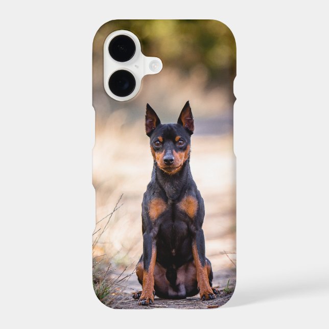 Pinscher Nain Assis (Verso)