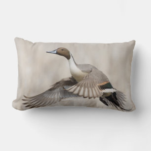 Pintail Drake Taking Flight Lumbar Pillow