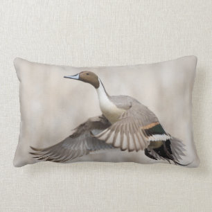 Pintail Drake Taking Flight Lumbar Pillow