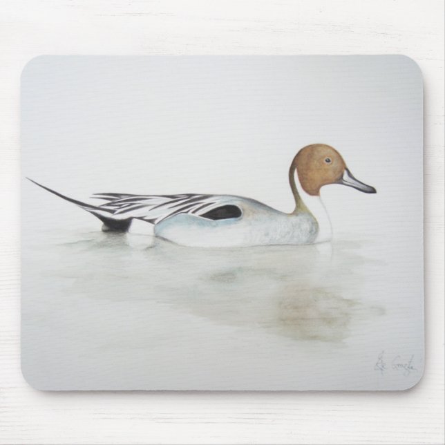Pintail Duck 2011 Mouse Pad (Front)