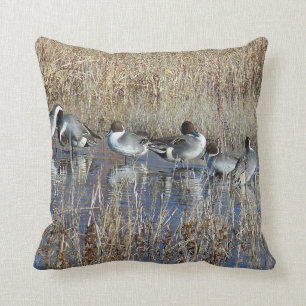 Pintail Ducks Birds Pillow