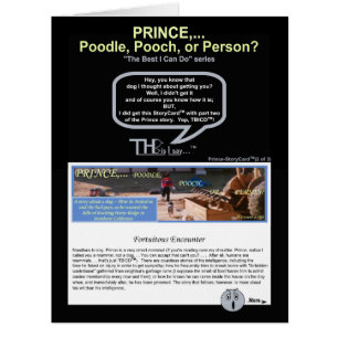 Pinte. Prince 2… Caniche, cabot, ou personne