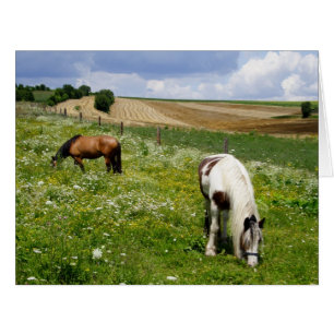 Pinto And Chestnut Grazing