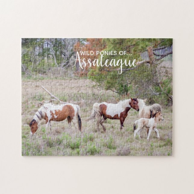 Pinto and Paint Wild Ponies of Assateague Jigsaw Puzzle (Horizontal)