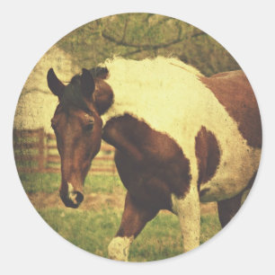 Pinto Classic Round Sticker