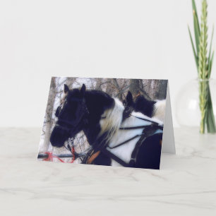 Pinto Draught Horse Team, Christmas Holiday Card