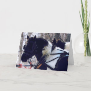Pinto Draught Horses, Father's Day Card
