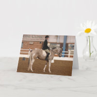 Pinto Dressage Horse