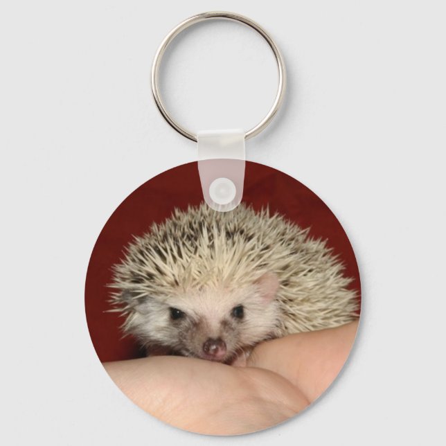 Pinto face hedgehog keychain (Front)
