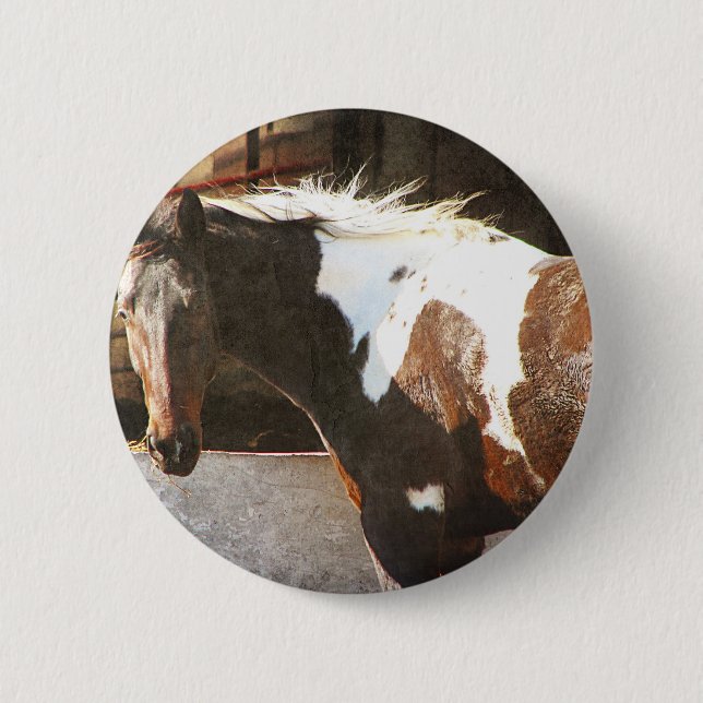 Pinto Horse 2 Inch Round Button (Front)