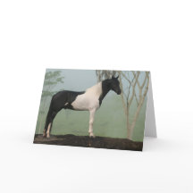 Pinto Horse