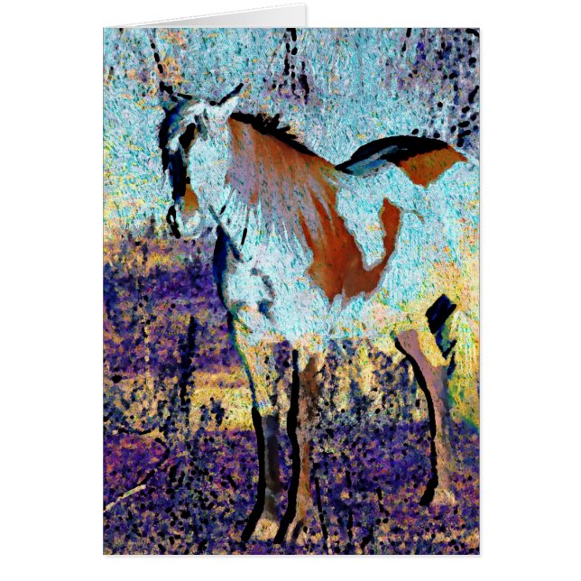 Pinto Horse Digital Art (Front)