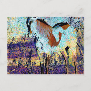 Pinto Horse Digital Art Postcard