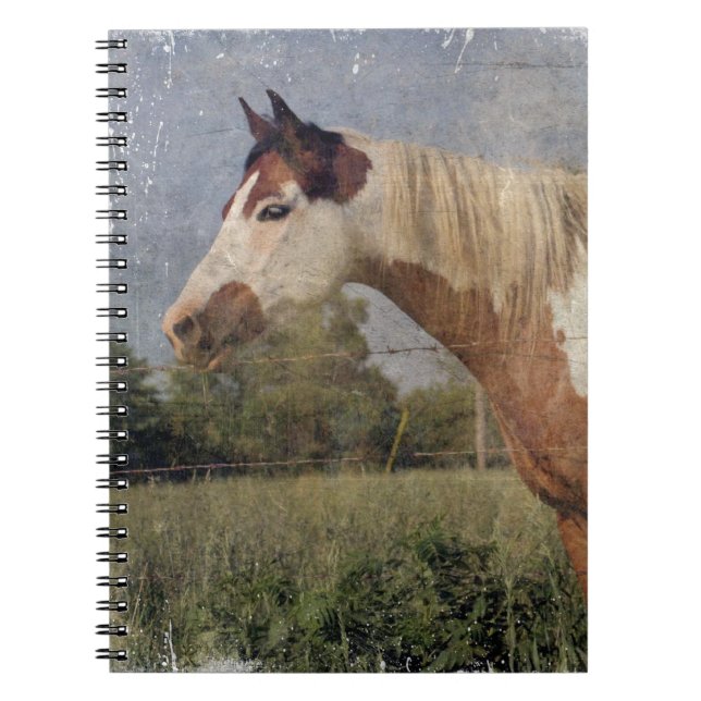 Pinto Horse Grunge Notebook (Front)