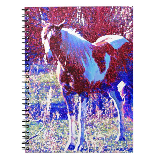 Pinto Horse Notebook (Front)