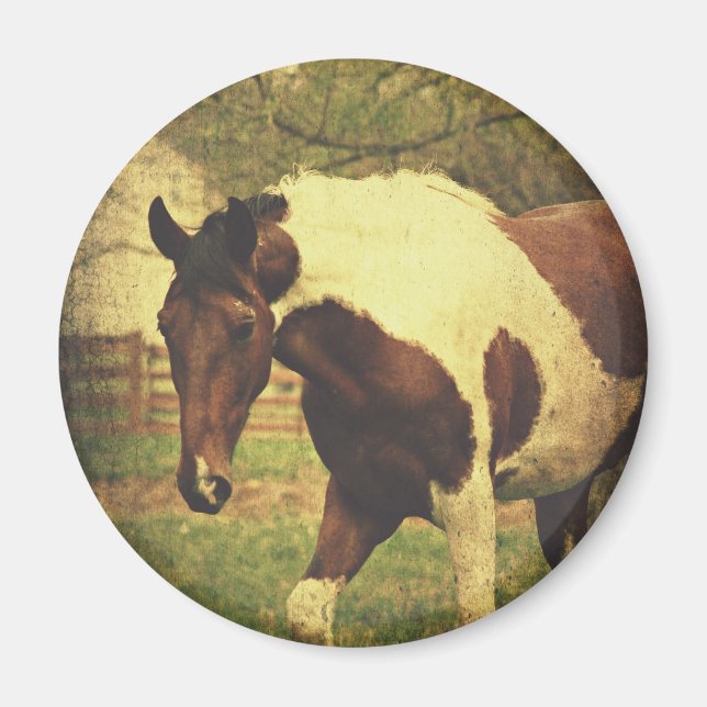 Pinto Magnet (Front)