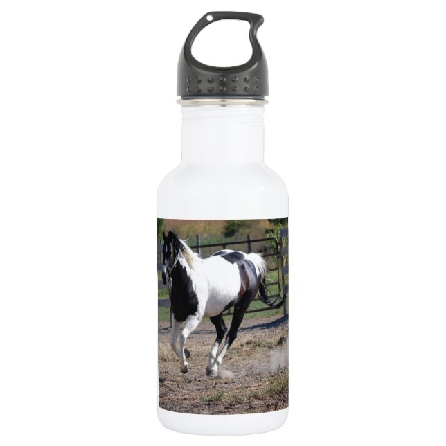 Pinto Paint Horse 532 Ml Water Bottle (Front)