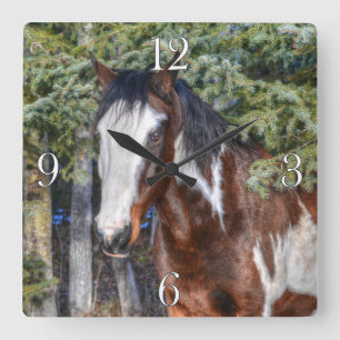 Pinto Paint Stallion & Evergreen Trees Square Wall Clock