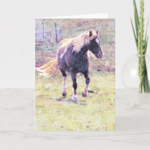Pinto Pony Card