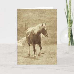 Pinto Pony Sepia Card