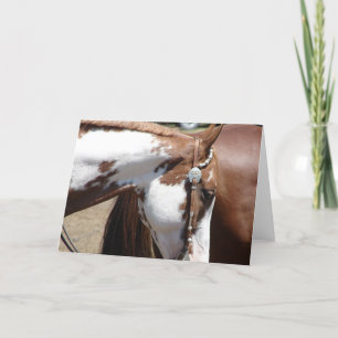 Pinto Western Horse Card