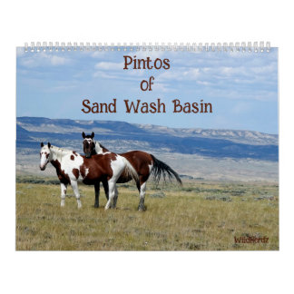 Pintos du calendrier du bassin de lavage de sable