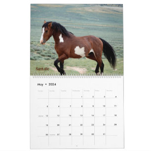 Pintos du calendrier du bassin de lavage de sable