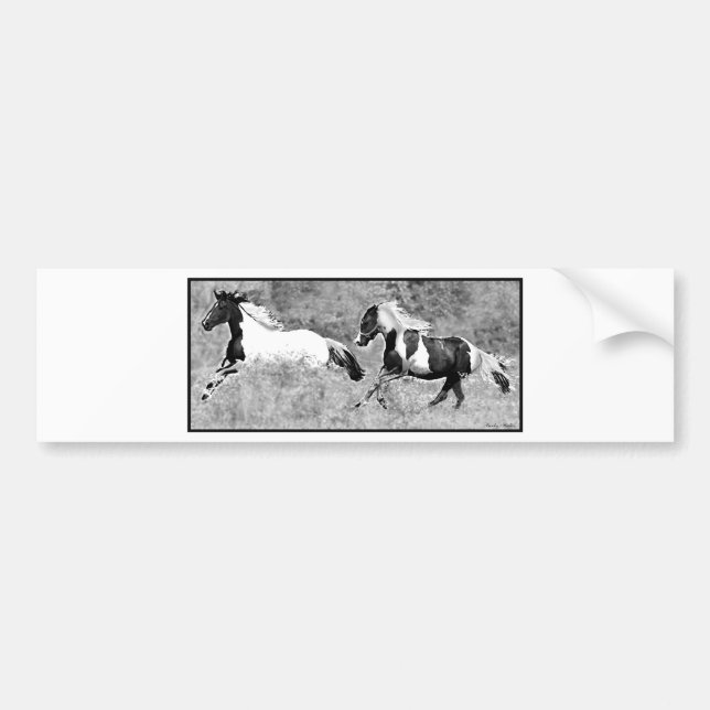 Pintos Galloping, Customizable Bumper Sticker (Front)