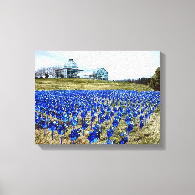 Pinwheels Garden LGBG Richmond VA Canvas Print (Front)