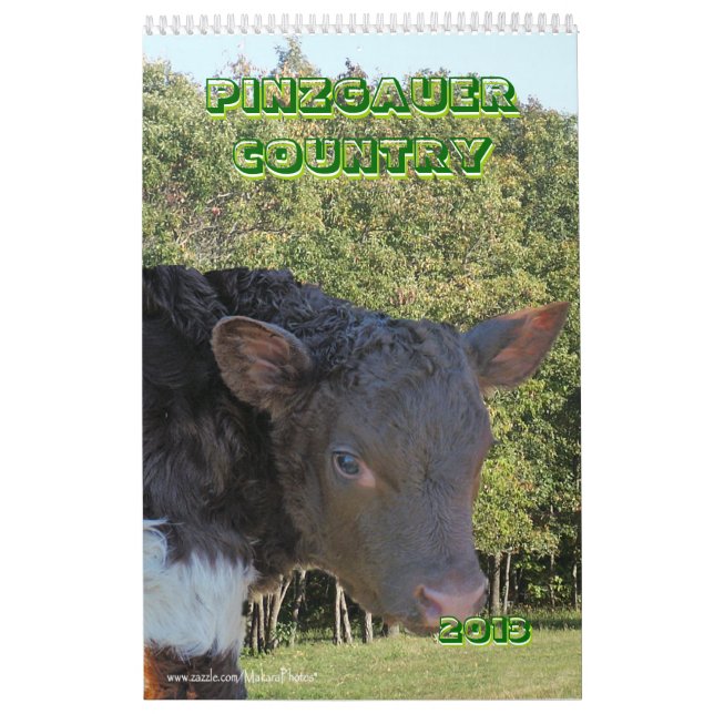 Pinzgauer 2013 Cattle Calendar- personalize Calendar (Cover)