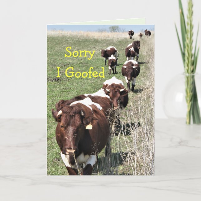 Pinzgauer 8371 Belated Birthday Card- customize Thank You Card (Front)