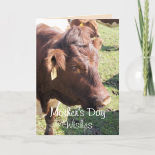 Pinzgauer 8374 Mother's Day-or make any Thank You Card