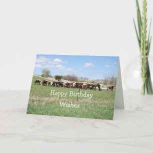 Pinzgauer 8399 day - customize any Birthday Card