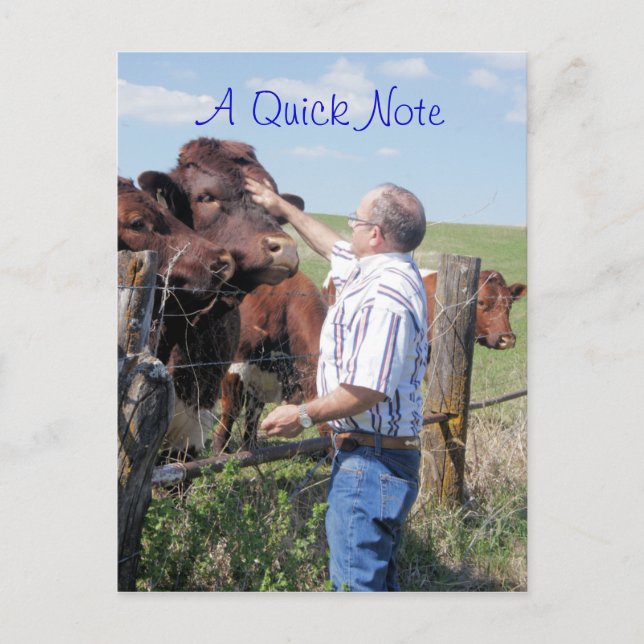 Pinzgauer Bull & Cows- customize Postcard (Front)