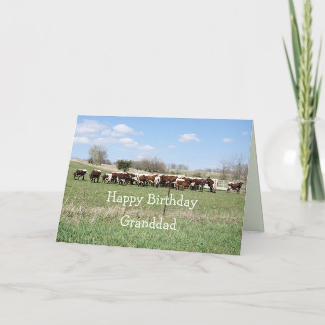 Pinzgauer cattle herd 8399- customize any occasion thank you card (Front)