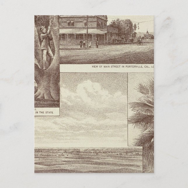 Pioneer Land Co tract, Porterville Postcard (Front)