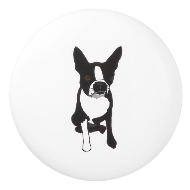 Piper Drawer Pulls (Front)