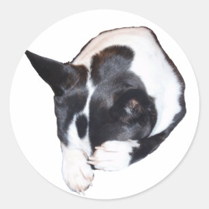 Piper - Sleeping Classic Round Sticker