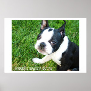 Piper's Early Days Poster