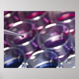 Pipette and petri dishes with fluids poster