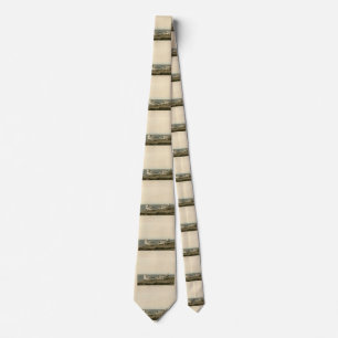 Piping Plover from Audubon's Birds of America Tie