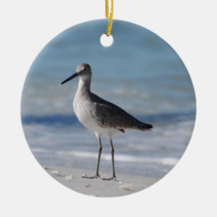 Piping Plover Ornament